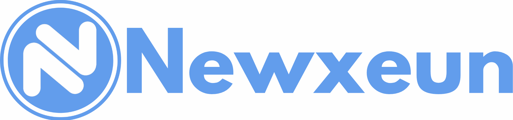 Newxeun logo – simple wordmark for an independent clothing brand